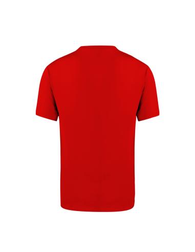 Camiseta Adulto Color N04112