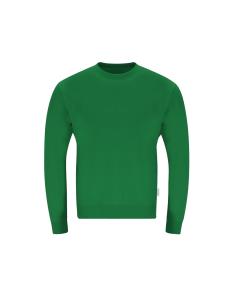 Sudadera Adulto N79212