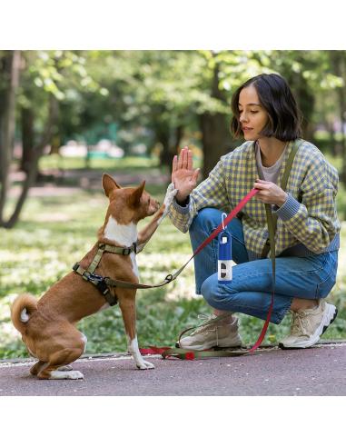 Dispensador Bolsas N51512