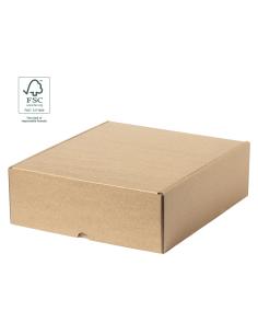 Caja Presentación N9031 2