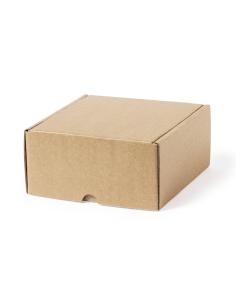 Caja Presentación N3131