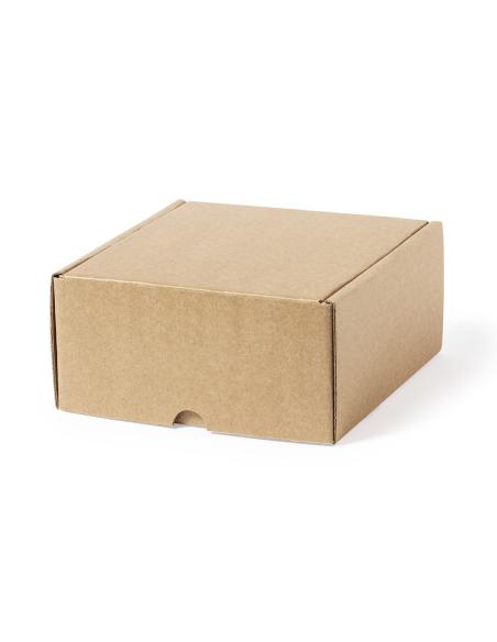 Caja Presentación N3131