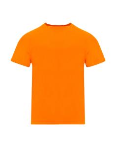 Camiseta Adulto N90912