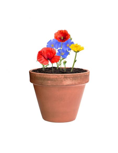 Bombón Semillas N0462