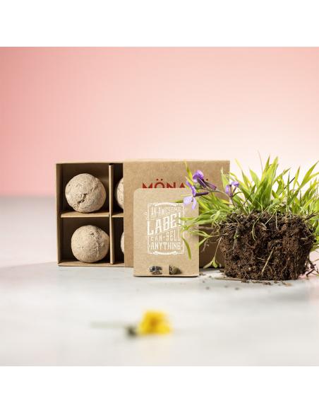 Capsula Semillas N2462