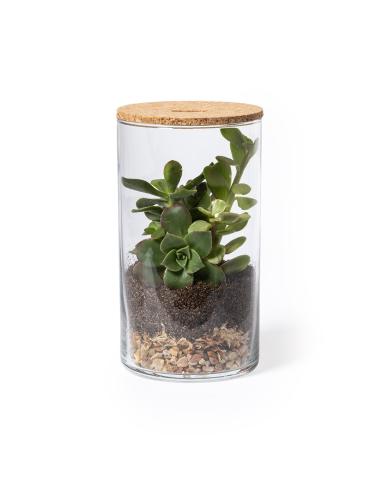 Terrarium N2962