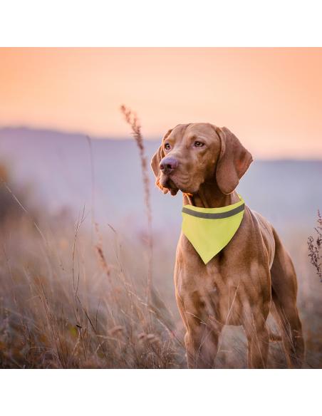 Collar Bandana N6285