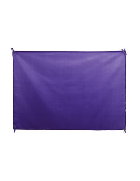 Bandera N0026