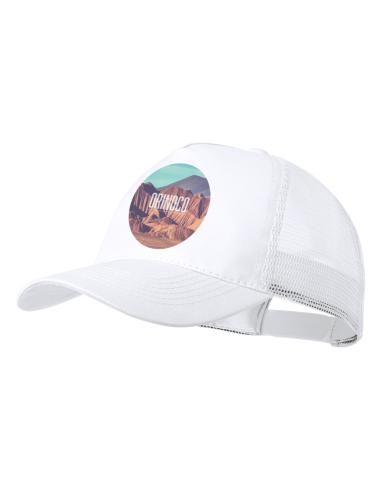 Gorra N7336