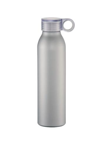 Botella de aluminio de 650 ml N10364001