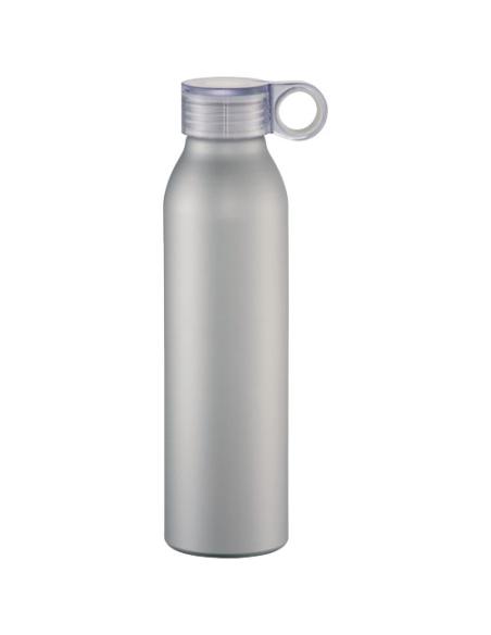 Botella de aluminio de 650 ml N10364001