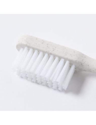 Cepillo Dientes N9361