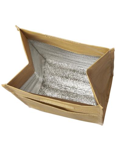 Bolsa isotérmica grande N10693021