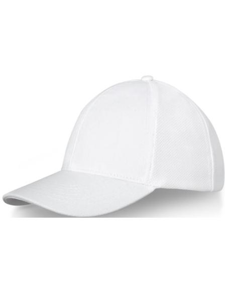 Gorra de camionero de 6 paneles N01008683