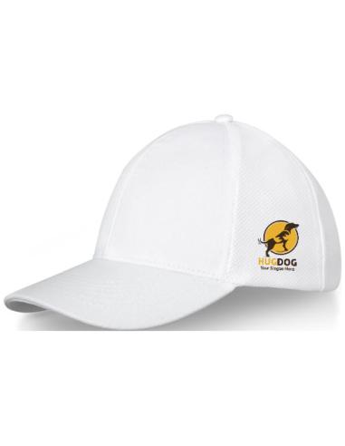 Gorra de camionero de 6 paneles N01008683