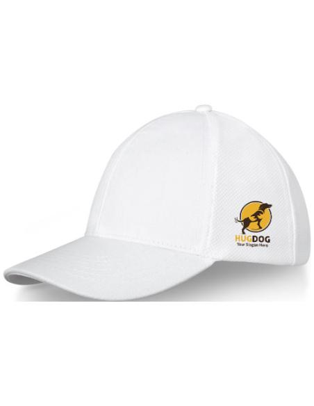 Gorra de camionero de 6 paneles N01008683