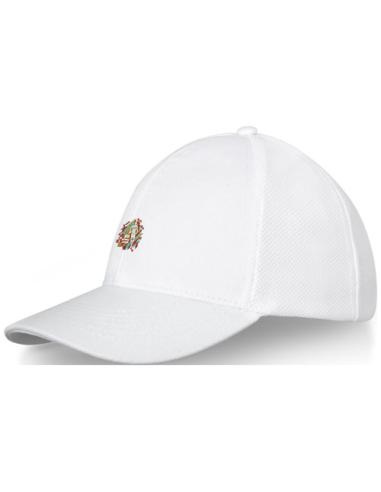 Gorra de camionero de 6 paneles N01008683