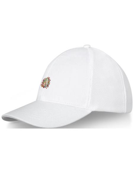 Gorra de camionero de 6 paneles N01008683