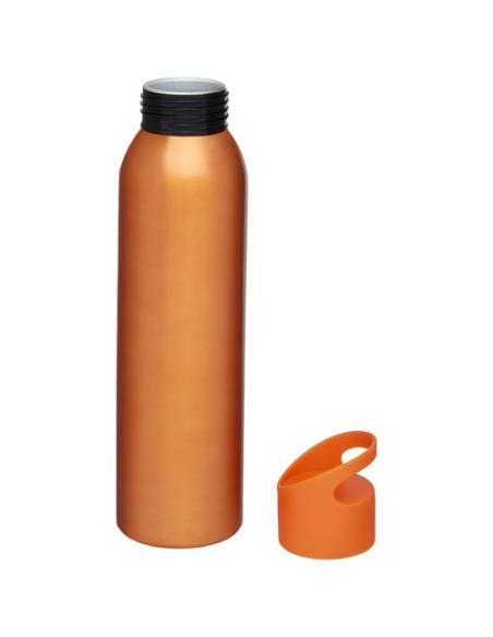 Botella deportiva de aluminio de 650 ml N13356001