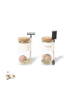 Bombón Semillas N2391 2