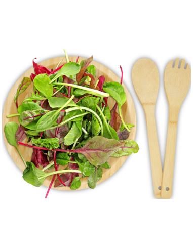 Ensaladera y cubiertos de bambú N60862311