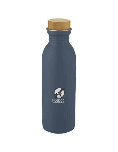 Botella de acero inoxidable de 650 ml N05776001