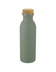 Botella de acero inoxidable de 650 ml N10776001