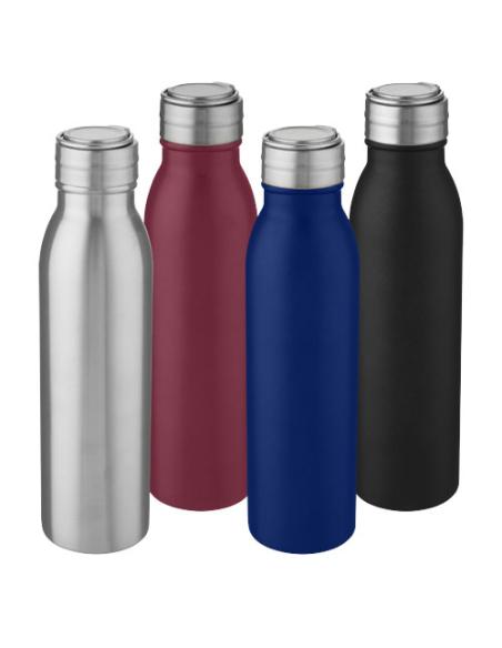 Botella de acero inoxidable de 700 ml N09876001