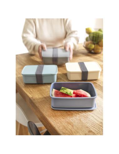 Fiambrera de plástico reciclado N28472311