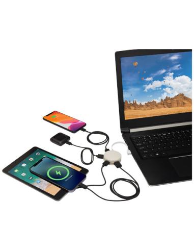 Hub USB de paja de trigo N60903421