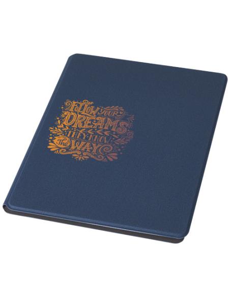 Portafolios N55968701