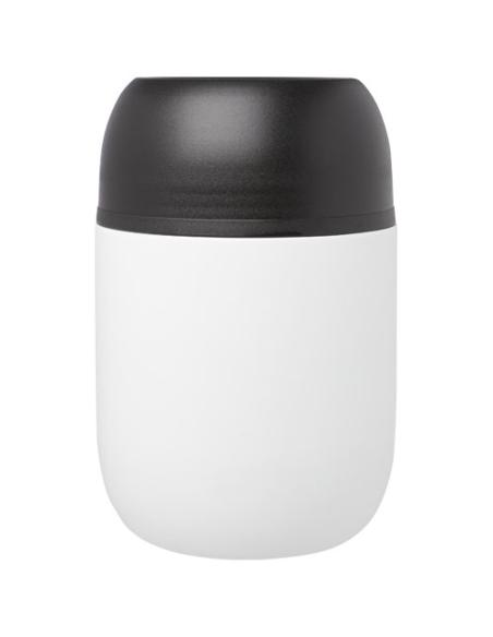 Fiambrera de doble pared de 480 ml N10463311