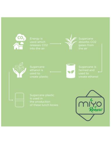 Fiambrera de doble capa N14281012