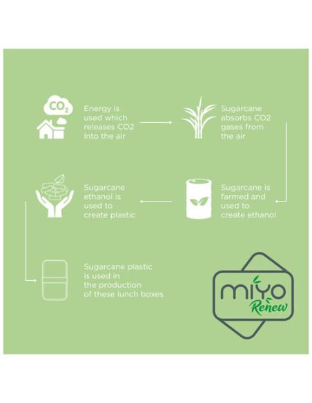 Fiambrera de doble capa N14281012