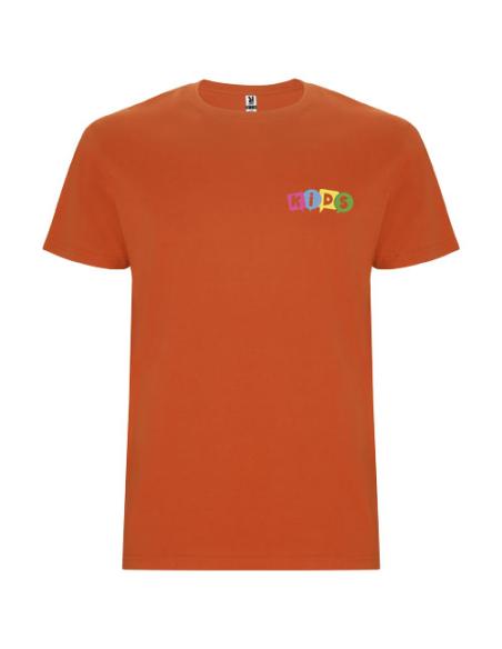 Camiseta de manga corta infantil NCI31866K
