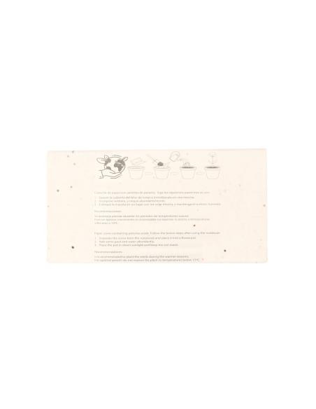 Caja Lápices Semillas N07302