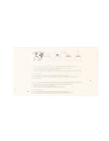 Caja Ceras Semillas N17302