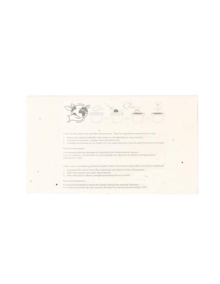 Caja Ceras Semillas N17302