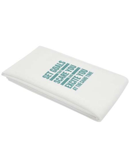 Toalla de deporte de 50 x 100 cm N10505311