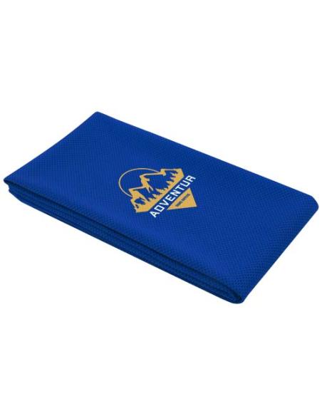 Toalla de deporte de 50 x 100 cm N35505311