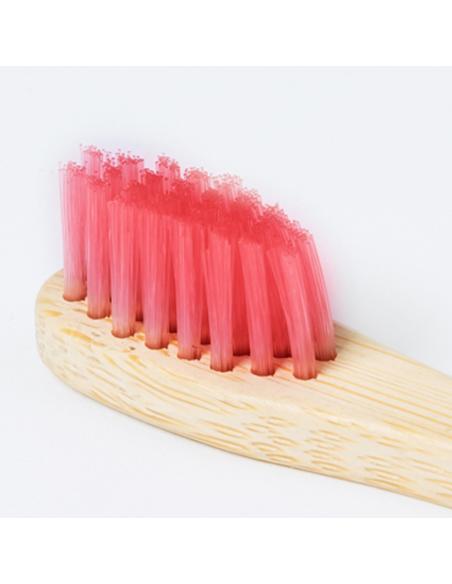 Cepillo Dientes N29302