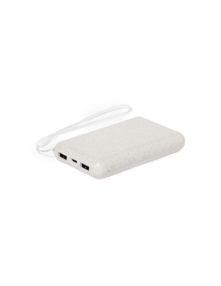 Power Bank N17202