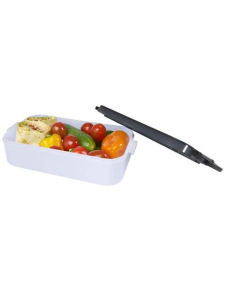 Fiambrera y cubiertos N10024311
