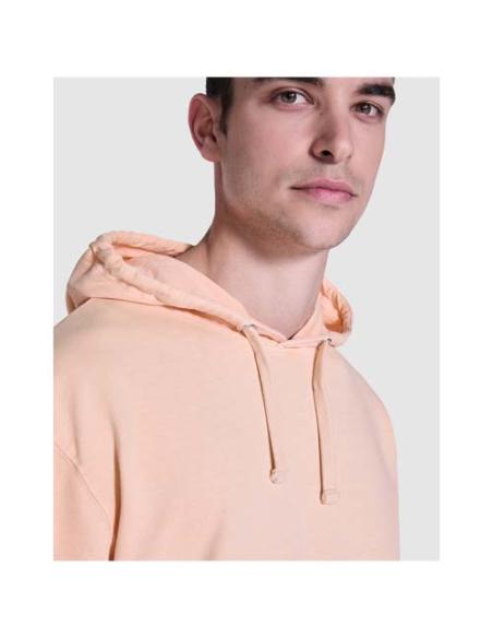 Sudadera con capucha unisex N01E4022R