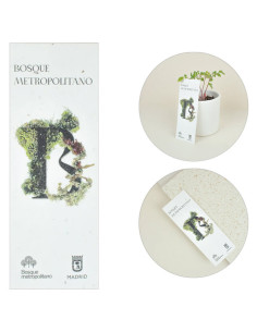 Marcapáginas Plantable con Semillas Personalizado | Elaborado con semillas | Mejor precio | nosolodulce