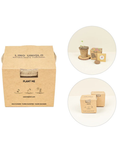 Kit de Siembra en Maceta de Fibra de Coco Personalizado | Mejor precio | nosolodulce