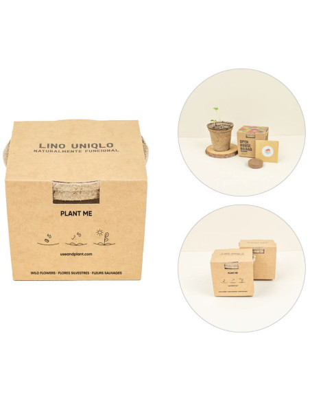 Kit de Siembra en Maceta de Fibra de Coco Personalizado | Mejor precio | nosolodulce