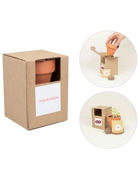 Kit de Siembra en Maceta de Barro Personalizado | Mejor precio | nosolodulce