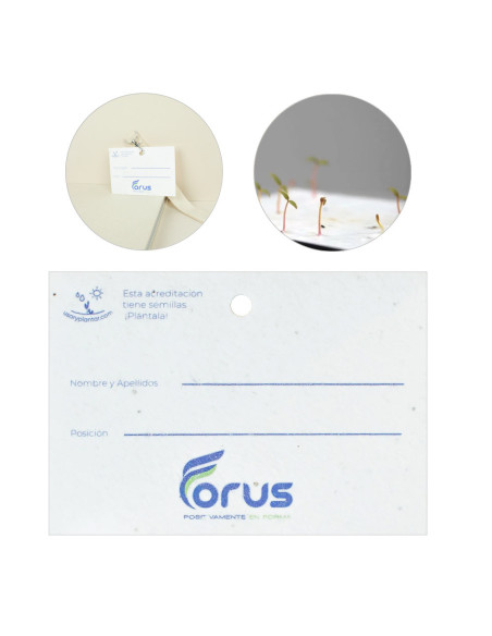 Acreditación A7 Plantable Personalizado | Elaborado con semillas | Mejor precio | nosolodulce