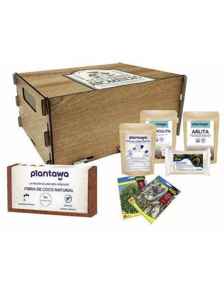 Kit de Siembra de Plantas Aromáticas Personalizado | Desde 25,50€ | nosolodulce